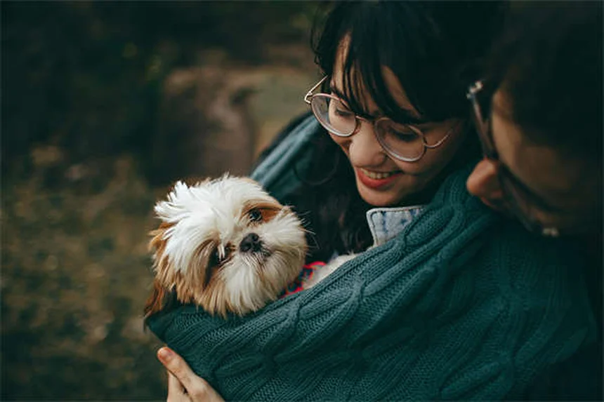 Come calmare un cane nervoso: 5 soluzioni naturali che funzionano davvero